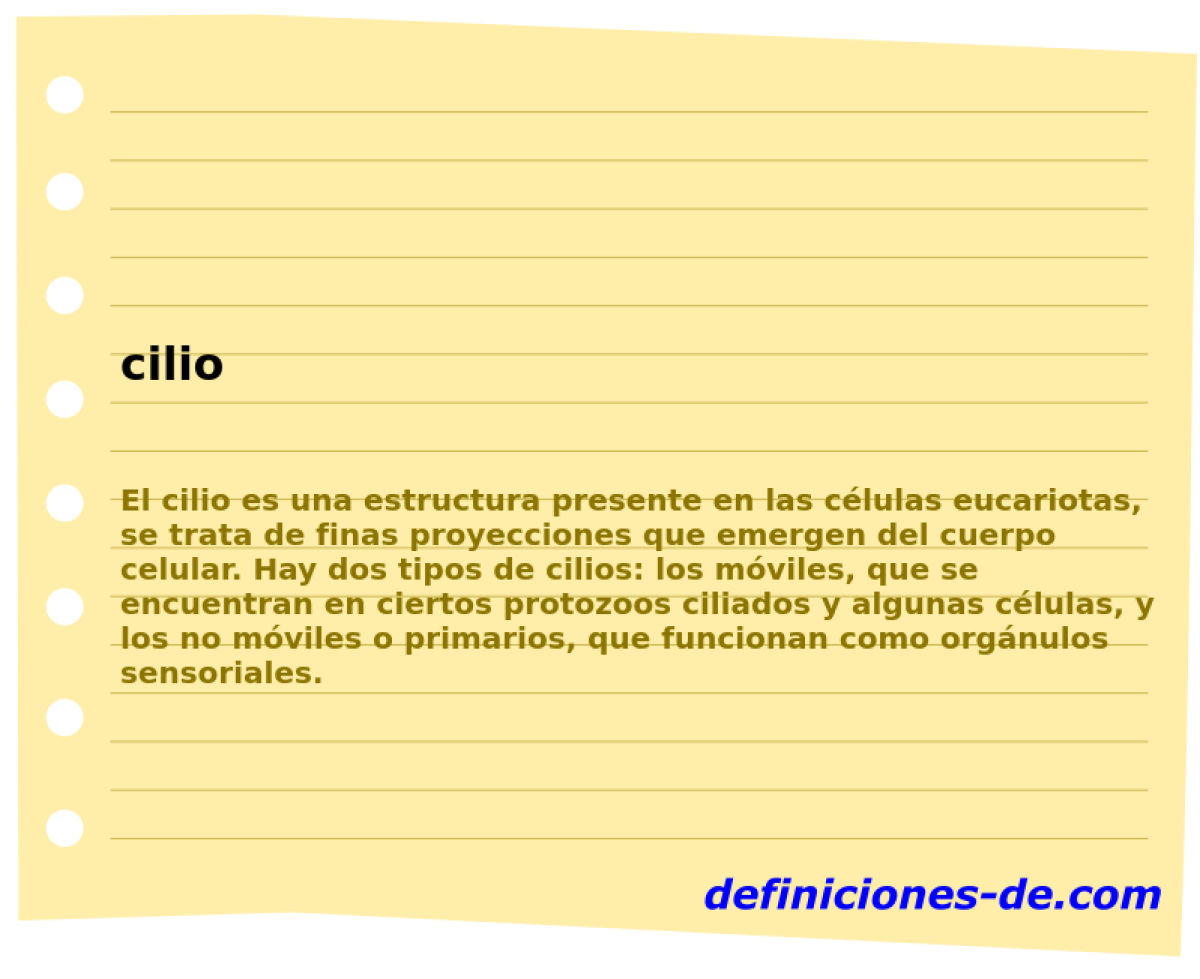 cilio 