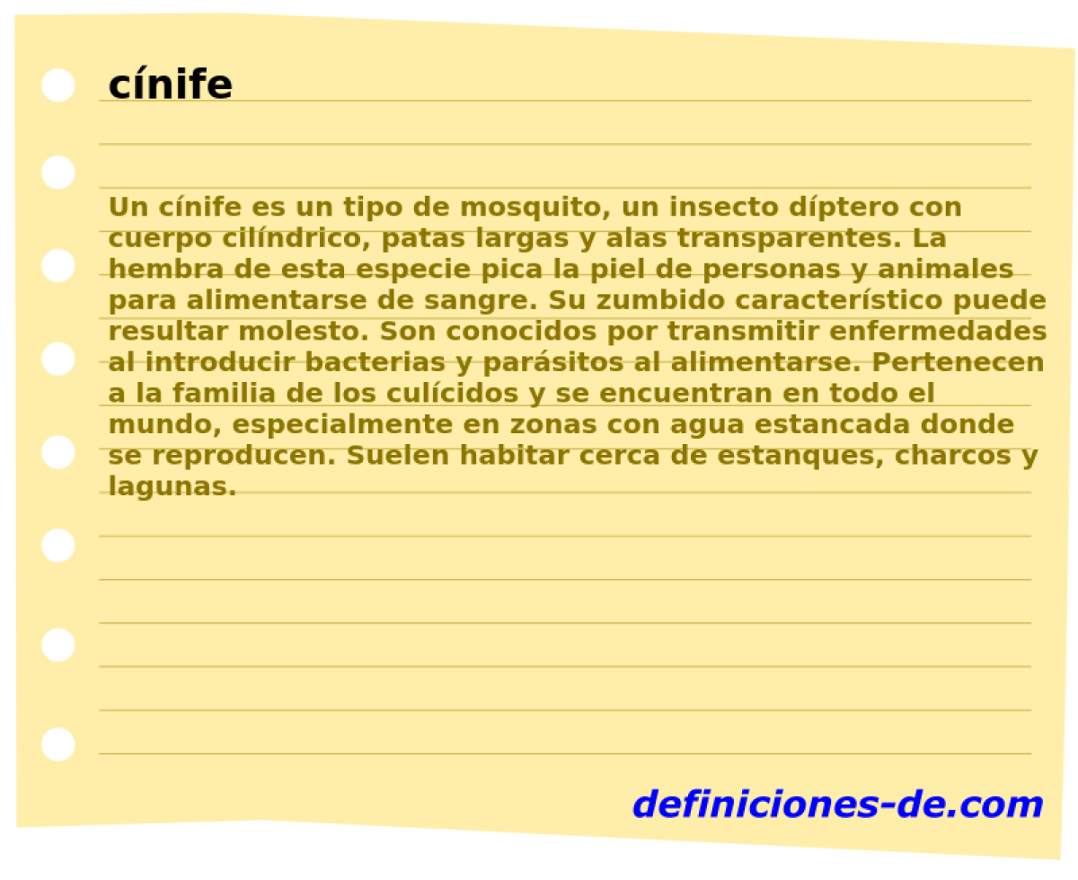 cnife 