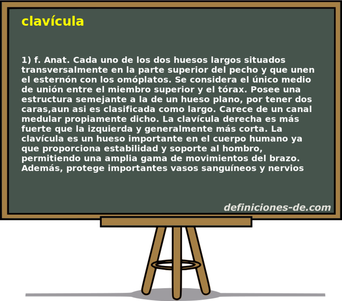 clavcula 