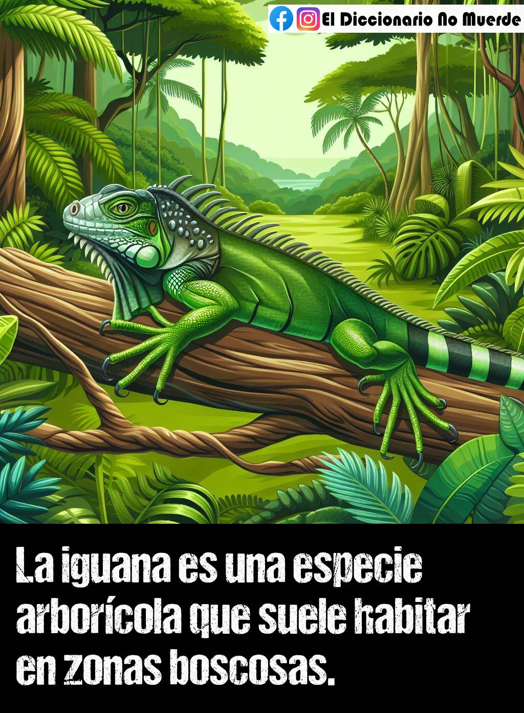 54 oraciones con «arborícola»