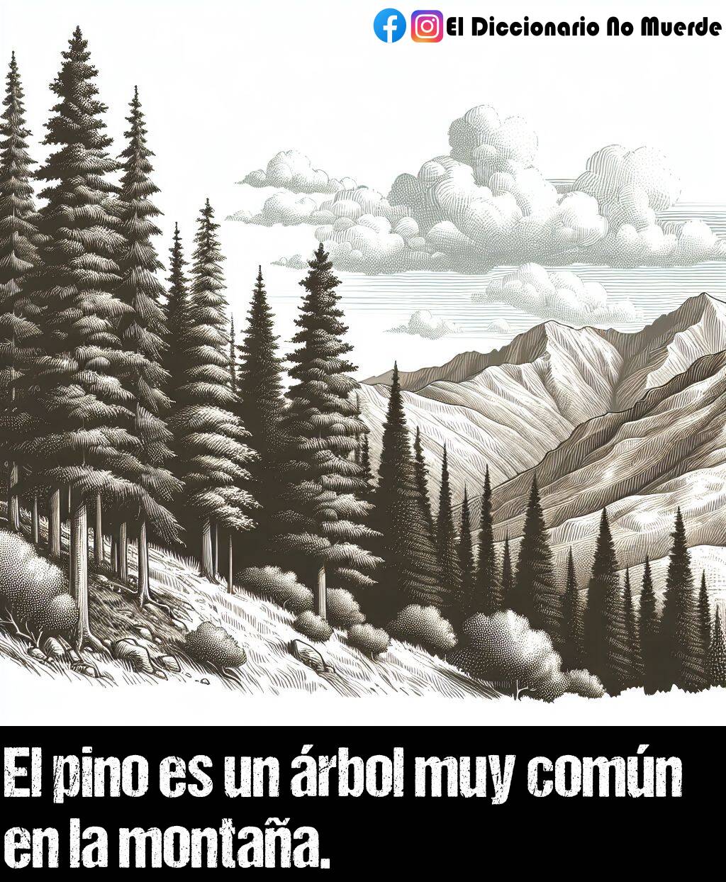 Significado de «común»