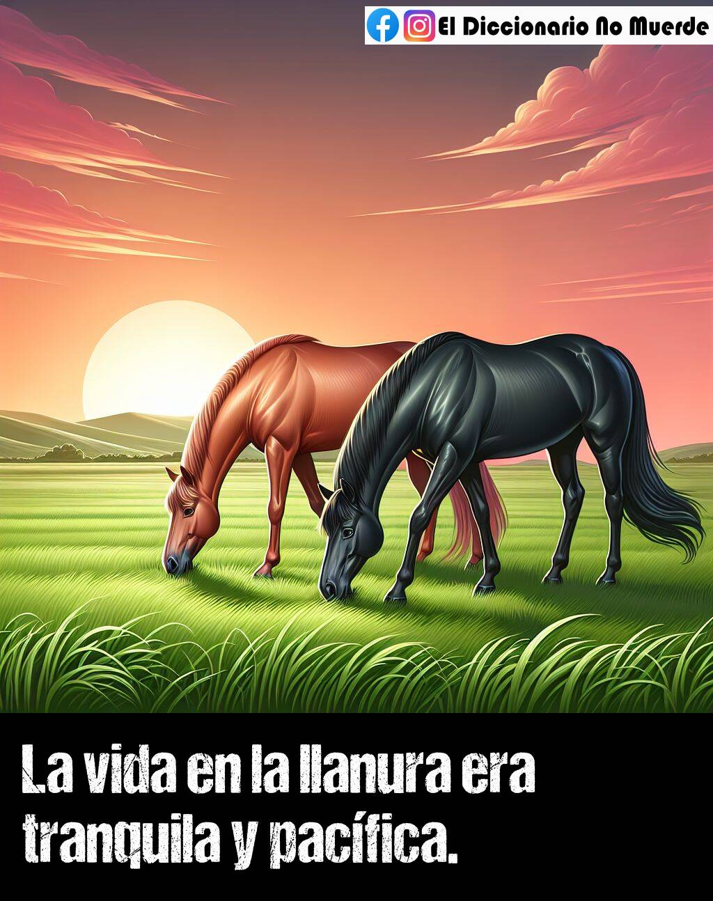 Significado de «tranquilo (tranquila)»