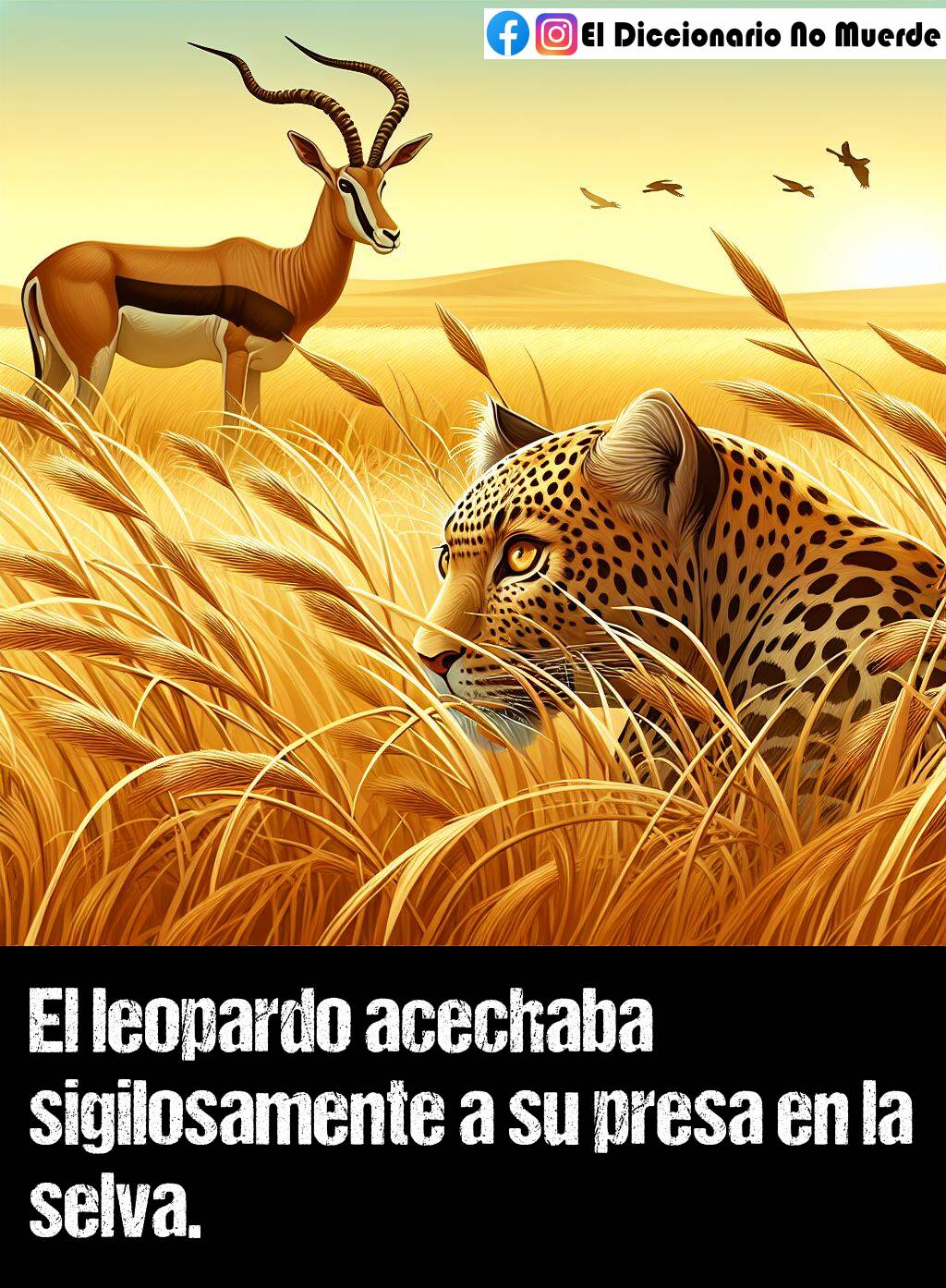 80 oraciones con «acechar»