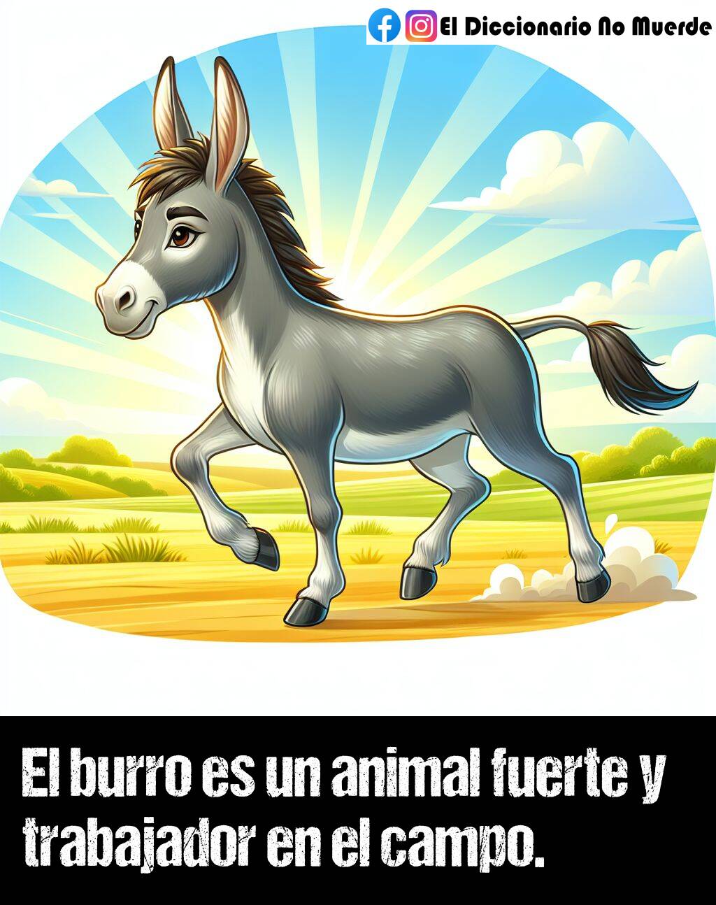 Significado de «burro»