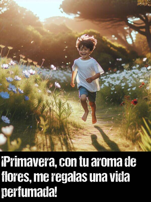 vida: Primavera, con tu aroma de flores, me regalas una vida perfumada!