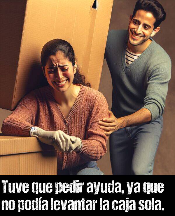 pedir: Tuve que pedir ayuda, ya que no poda levantar la caja sola.