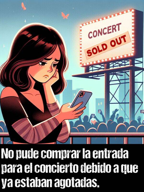 debido a que: No pude comprar la entrada para el concierto debido a que ya estaban agotadas.