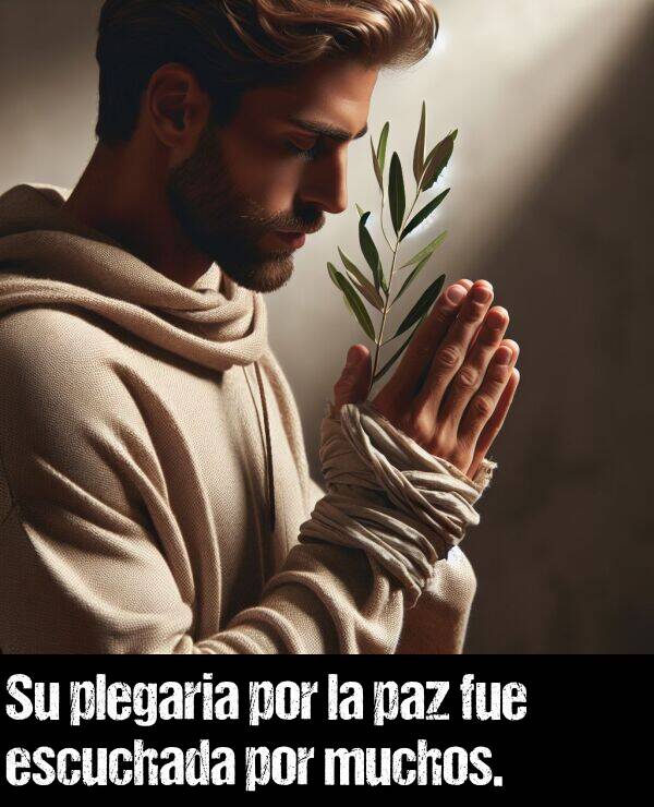 plegaria: Su plegaria por la paz fue escuchada por muchos.