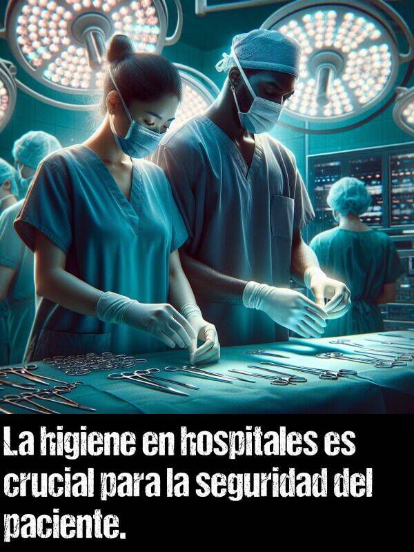 paciente: La higiene en hospitales es crucial para la seguridad del paciente.