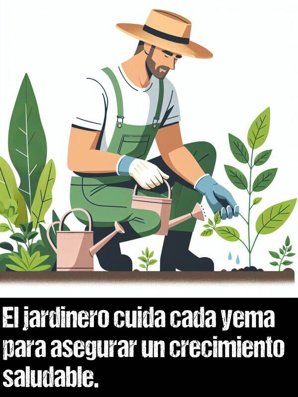 cuida: El jardinero cuida cada yema para asegurar un crecimiento saludable.