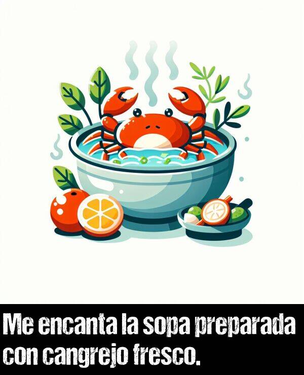 cangrejo: Me encanta la sopa preparada con cangrejo fresco.