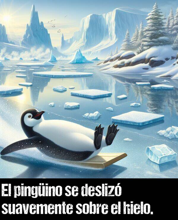 hielo: El pingino se desliz suavemente sobre el hielo.