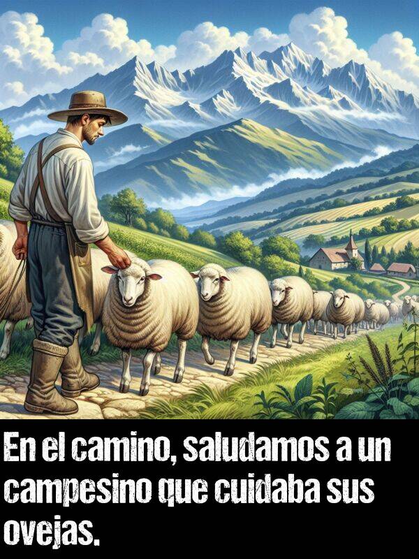 camino: En el camino, saludamos a un campesino que cuidaba sus ovejas.
