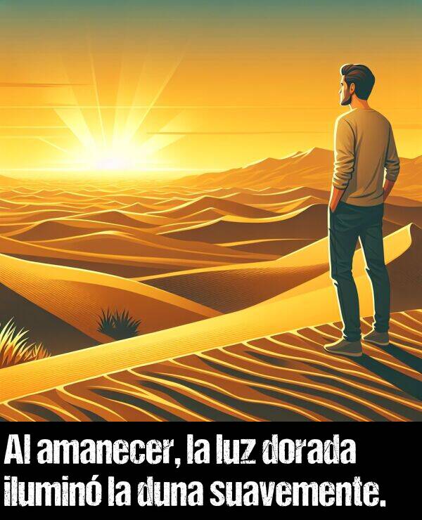 dorada: Al amanecer, la luz dorada ilumin la duna suavemente.