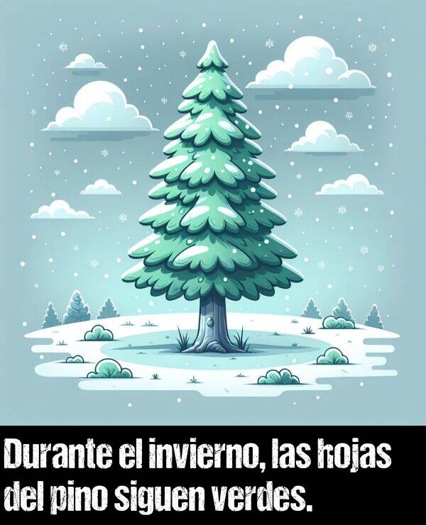 invierno: Durante el invierno, las hojas del pino siguen verdes.