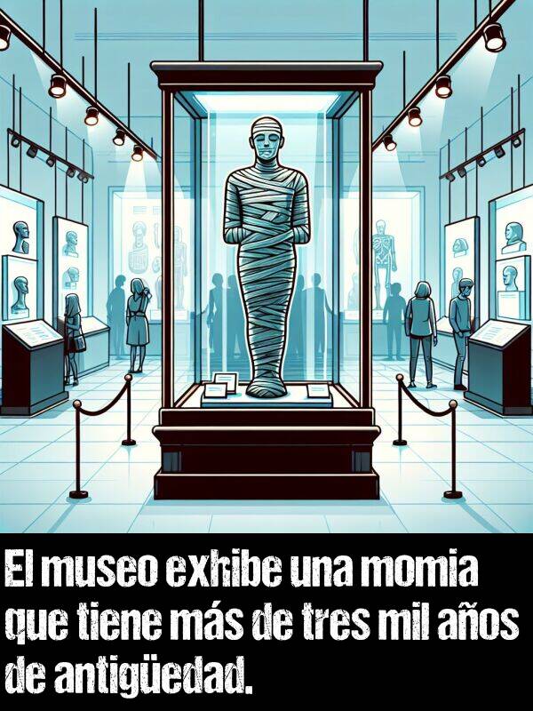 antigedad: El museo exhibe una momia que tiene ms de tres mil aos de antigedad.