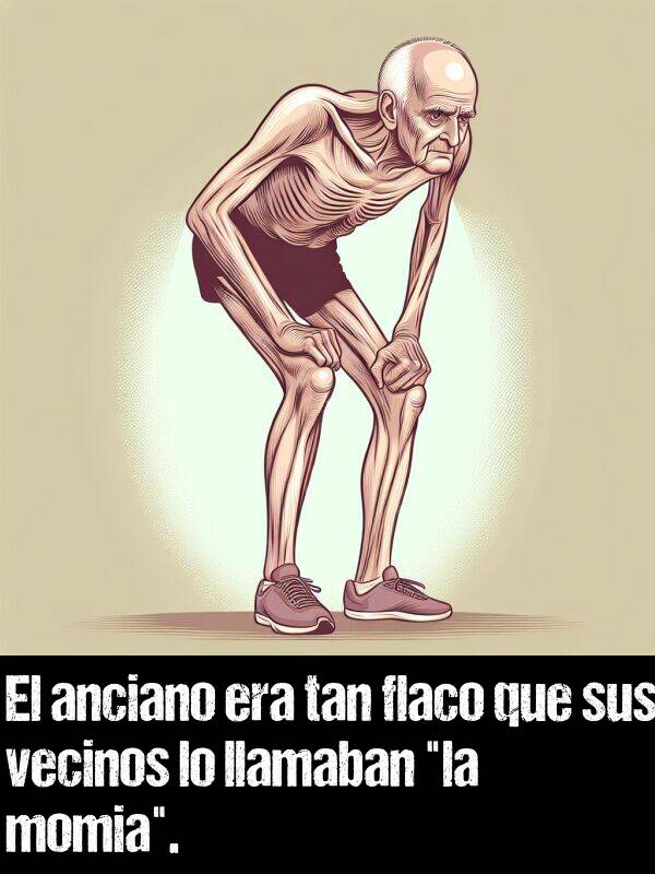 flaco: El anciano era tan flaco que sus vecinos lo llamaban "la momia".