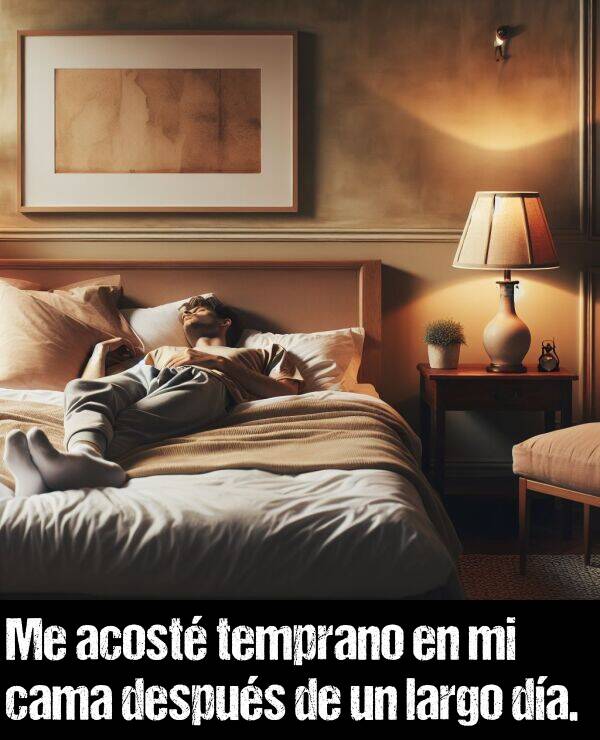 largo: Me acost temprano en mi cama despus de un largo da.