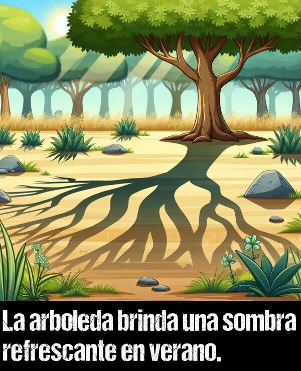 refrescante: La arboleda brinda una sombra refrescante en verano.