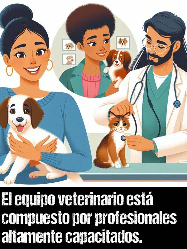 profesionales: El equipo veterinario est compuesto por profesionales altamente capacitados.