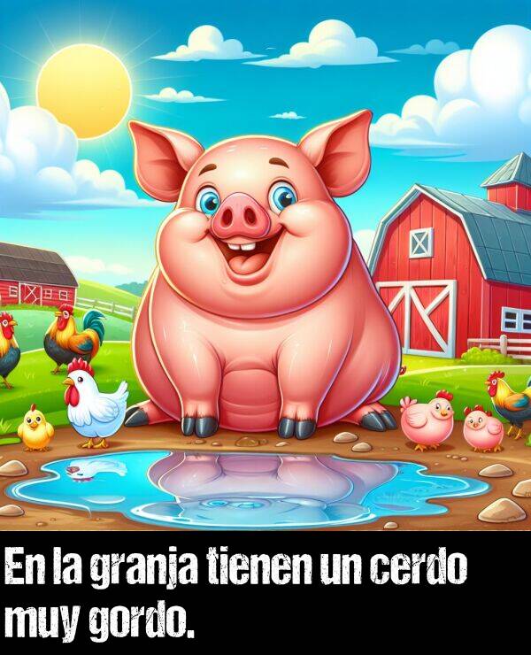 granja: En la granja tienen un cerdo muy gordo.
