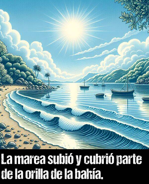 baha: La marea subi y cubri parte de la orilla de la baha.
