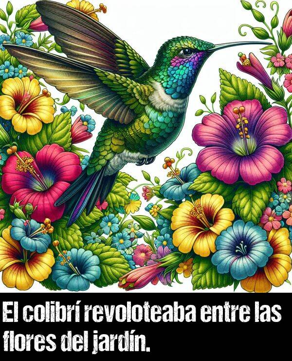 revoloteaba: El colibr revoloteaba entre las flores del jardn.