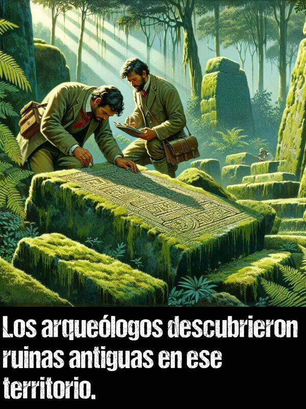 territorio: Los arquelogos descubrieron ruinas antiguas en ese territorio.