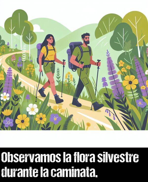 flora: Observamos la flora silvestre durante la caminata.
