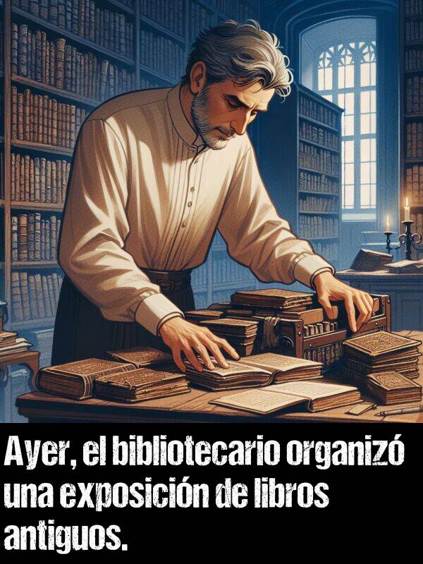 bibliotecario: Ayer, el bibliotecario organiz una exposicin de libros antiguos.