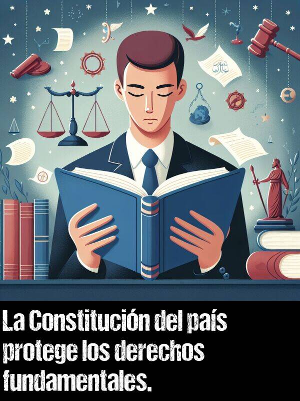 derechos: La Constitucin del pas protege los derechos fundamentales.