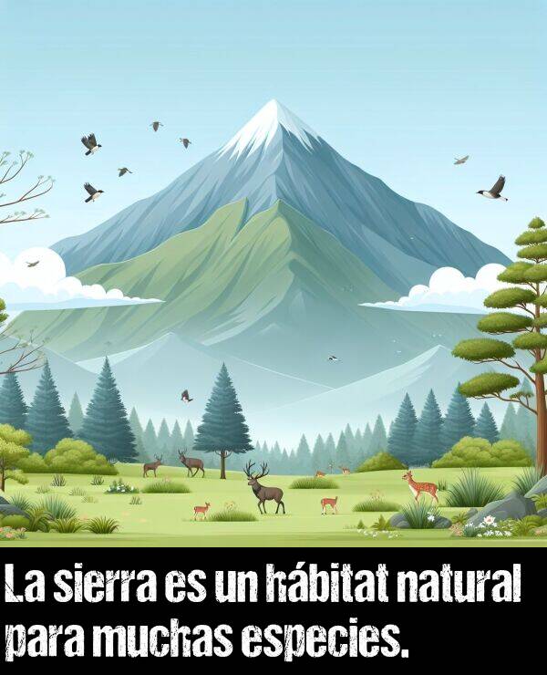 hbitat: La sierra es un hbitat natural para muchas especies.