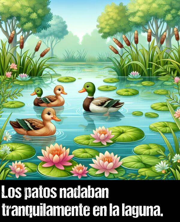 nadaban: Los patos nadaban tranquilamente en la laguna.
