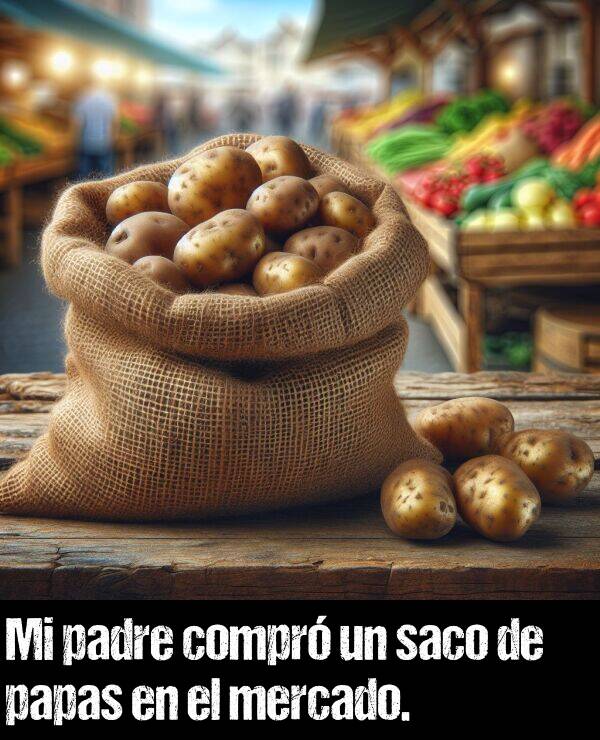 papas: Mi padre compr un saco de papas en el mercado.