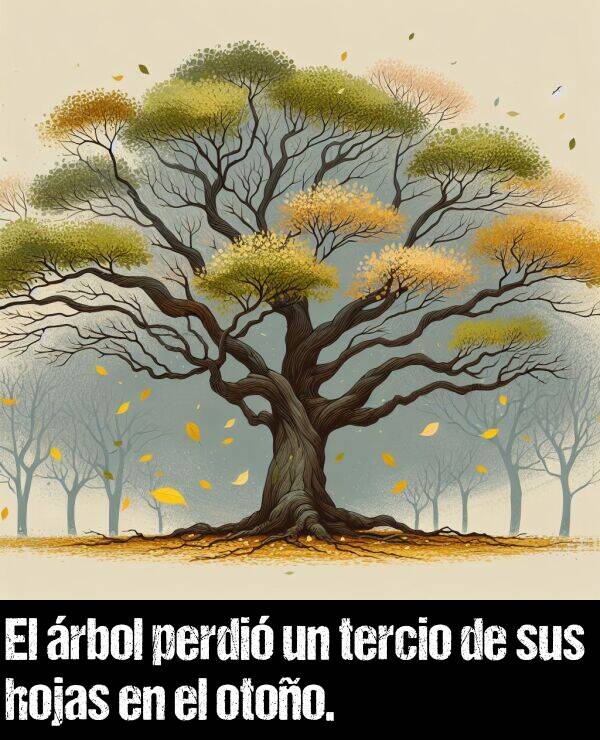sus: El rbol perdi un tercio de sus hojas en el otoo.