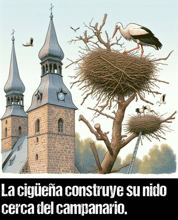 campanario: La cigea construye su nido cerca del campanario.