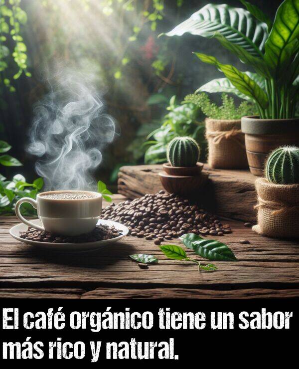 orgnico: El caf orgnico tiene un sabor ms rico y natural.