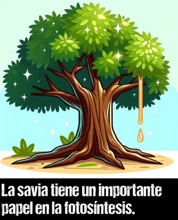 fotosntesis: La savia tiene un importante papel en la fotosntesis.