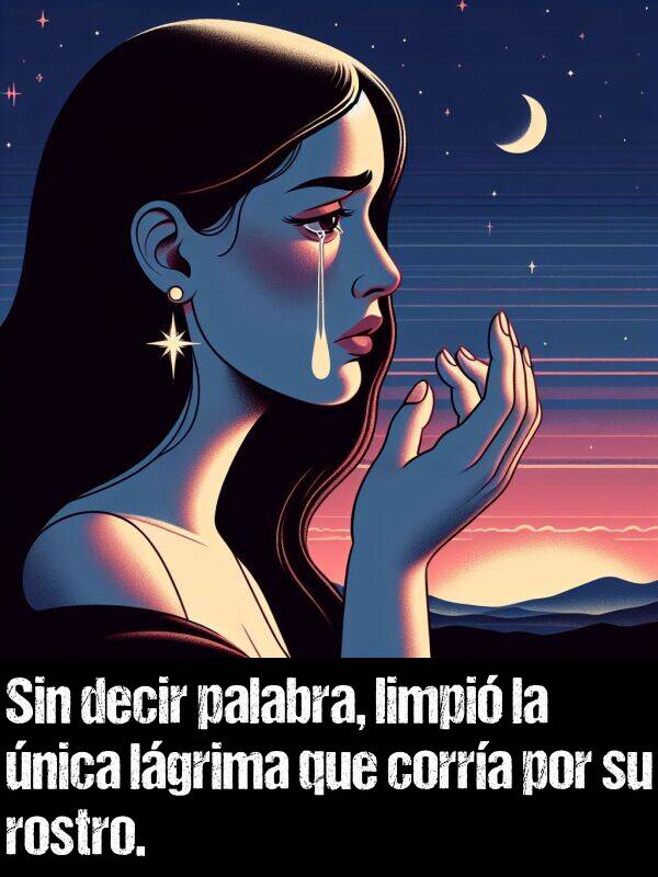 lgrima: Sin decir palabra, limpi la nica lgrima que corra por su rostro.