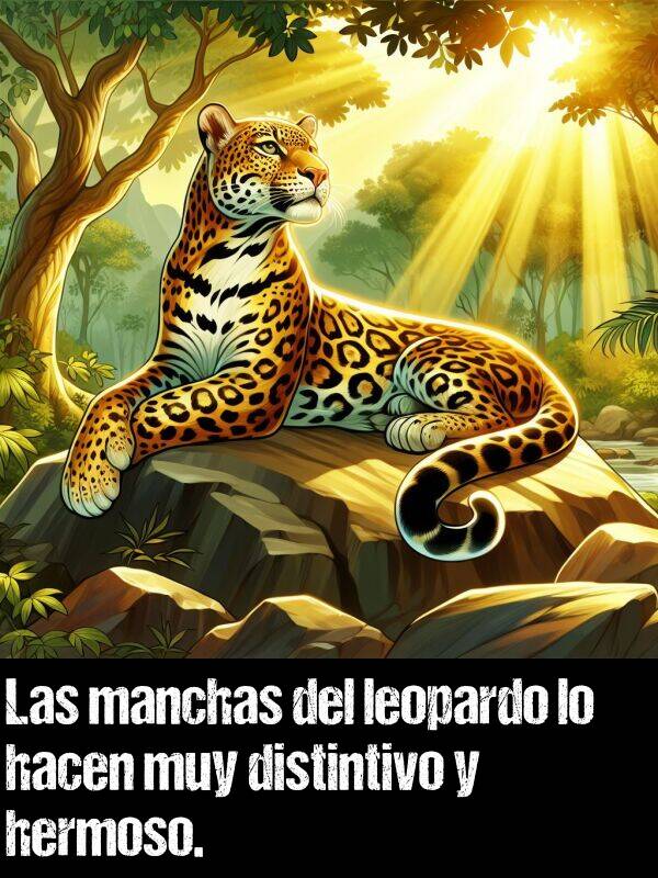 distintivo: Las manchas del leopardo lo hacen muy distintivo y hermoso.
