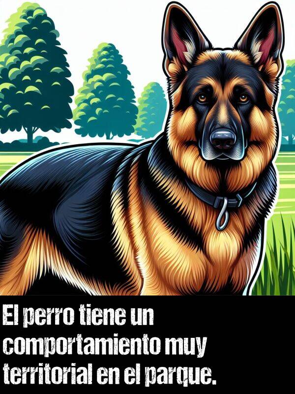territorial: El perro tiene un comportamiento muy territorial en el parque.