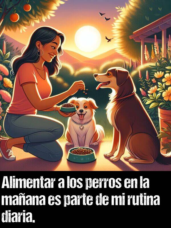 alimentar: Alimentar a los perros en la maana es parte de mi rutina diaria.