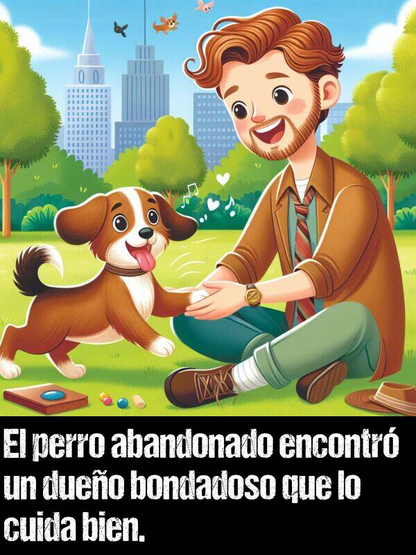 abandonado: El perro abandonado encontr un dueo bondadoso que lo cuida bien.
