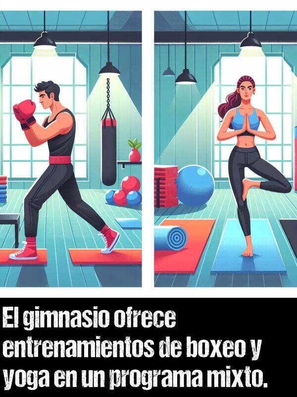 gimnasio: El gimnasio ofrece entrenamientos de boxeo y yoga en un programa mixto.