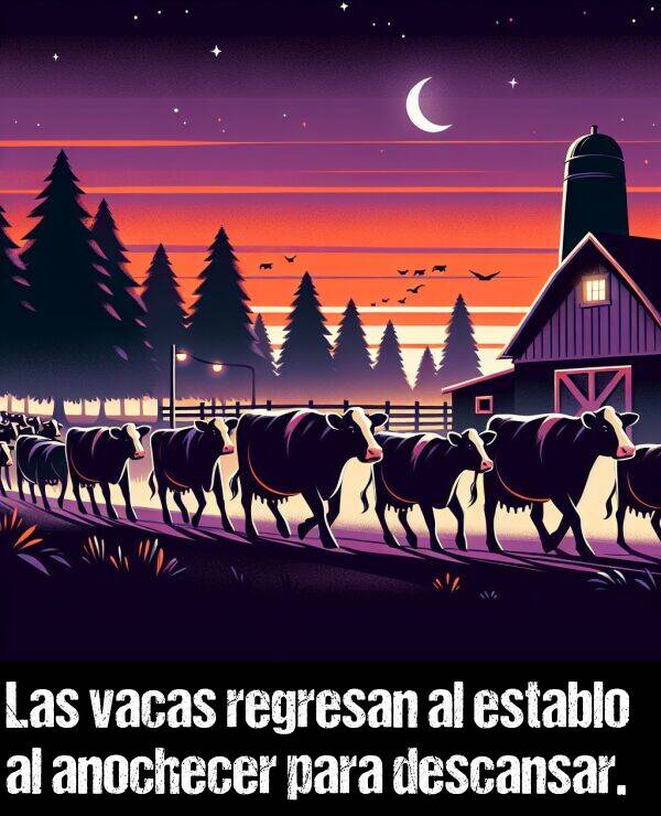 establo: Las vacas regresan al establo al anochecer para descansar.