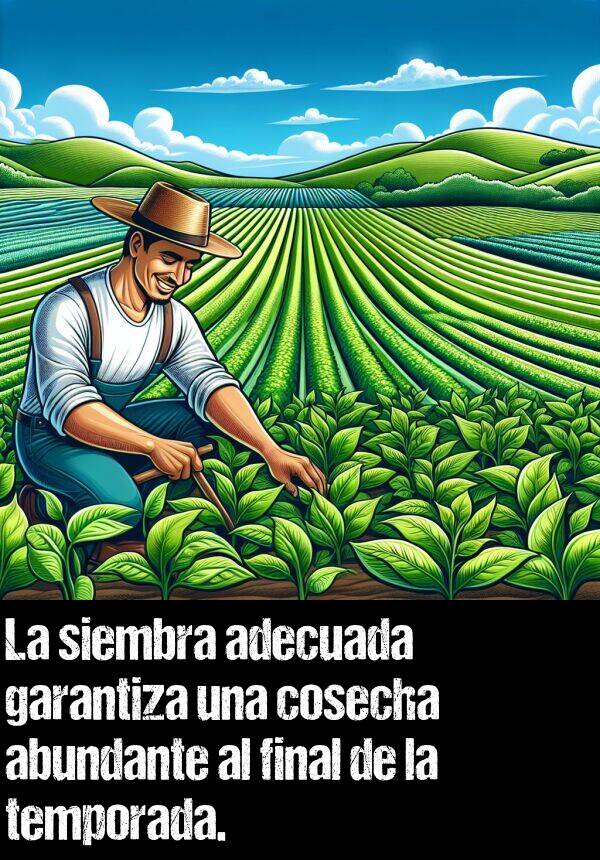 final: La siembra adecuada garantiza una cosecha abundante al final de la temporada.