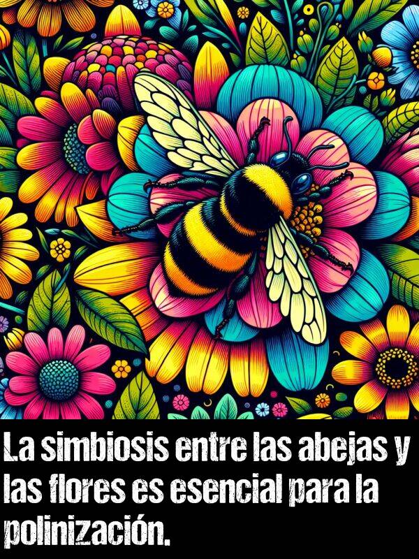 simbiosis: La simbiosis entre las abejas y las flores es esencial para la polinizacin.