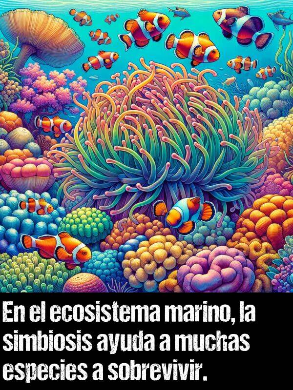 simbiosis: En el ecosistema marino, la simbiosis ayuda a muchas especies a sobrevivir.