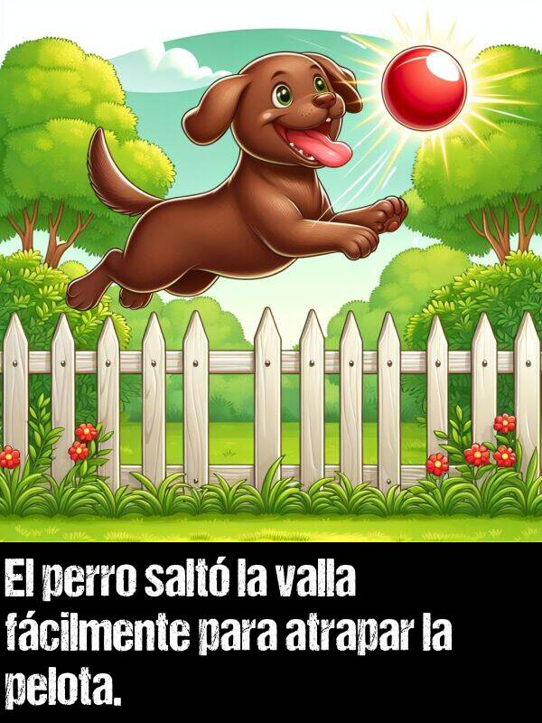 valla: El perro salt la valla fcilmente para atrapar la pelota.