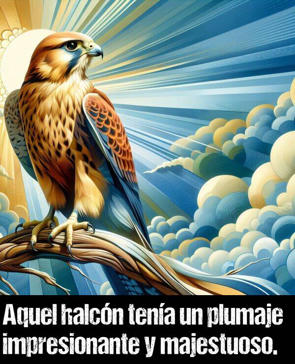 aquel: Aquel halcn tena un plumaje impresionante y majestuoso.